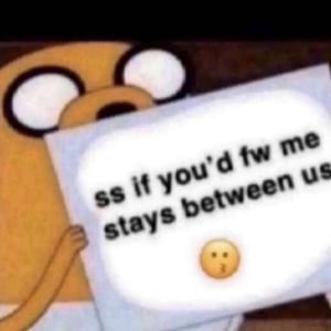 Meet your Posher, Sammy